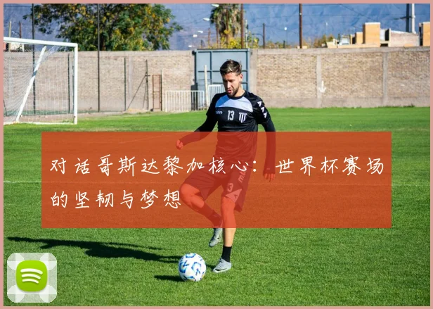对话哥斯达黎加核心:世界杯赛场的坚韧与梦想