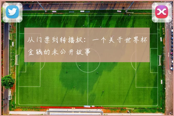 从门票到转播权：一个关于世界杯金钱的未公开故事