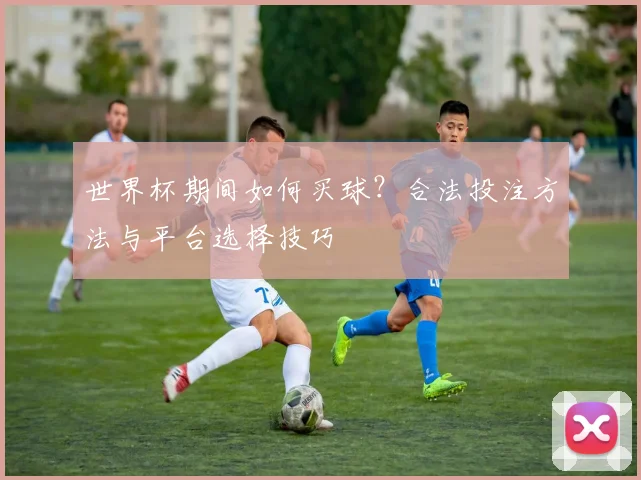 世界杯期间如何买球？合法投注方法与平台选择技巧
