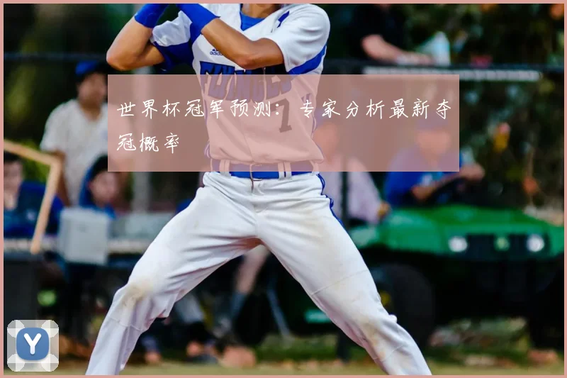 世界杯冠军预测:专家分析最新夺冠概率
