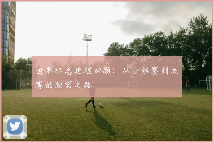 世界杯总进程回顾：从小组赛到决赛的跌宕之路