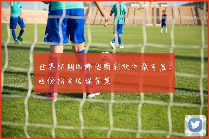 世界杯期间哪些购彩软件最可靠？这份指南给你答案