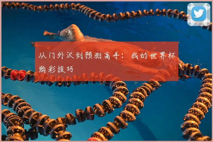 从门外汉到预测高手：我的世界杯购彩技巧